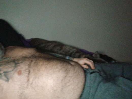 Fun and aim to please - Alternate Photo