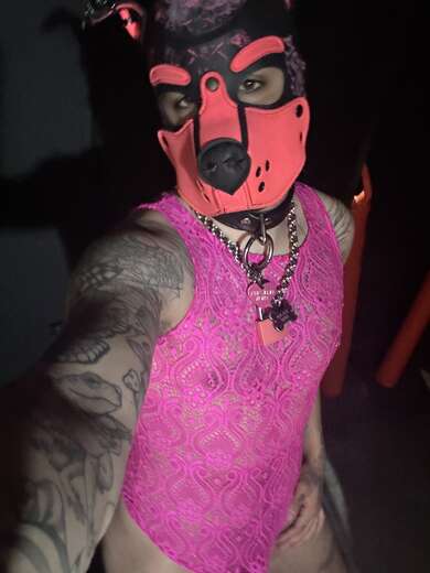 Gay bottom puppy - Alternate Photo
