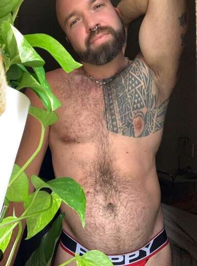 I'm at your service - Gay Male Escort in Hartford - Main Photo