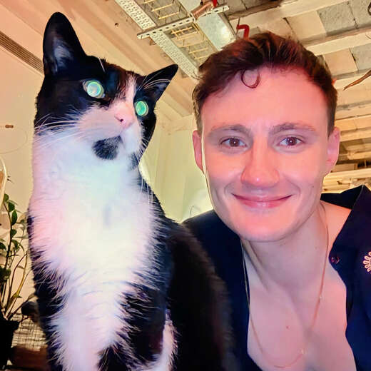 Your new favourite distraction - Alternate Photo