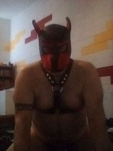 Pup roleplay Triple Scorpio - Gay Male Escort in Phoenix - Main Photo