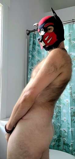 Your Personal Good Boy - Alternate Photo
