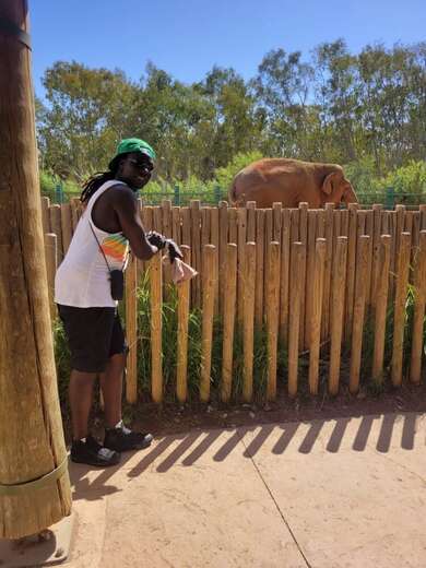 Black african with long lock and fun to be - Alternate Photo