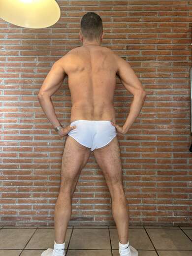 Spanish macho - Alternate Photo
