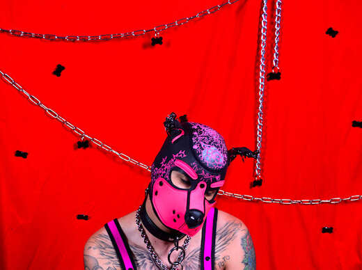 Gay bottom puppy - Alternate Photo