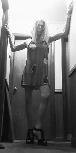 Friendly fun - Bi Male Escort in Knoxville - Main Photo