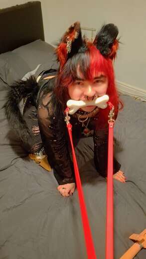 Goth Puppy - Alternate Photo