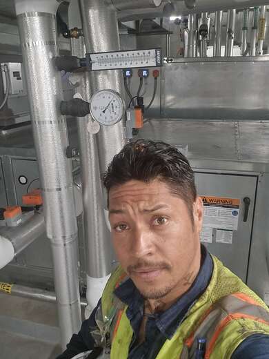 I am happy, Energetic, Strong, Friendly & - Alternate Photo