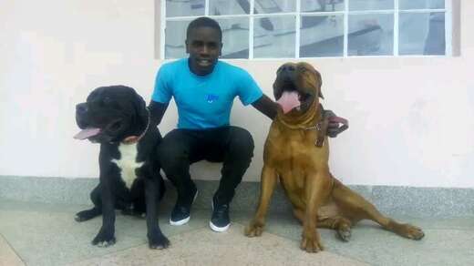 Charming - Straight Male Escort in Nairobi - Main Photo