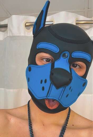 Fun puppy - Gay Male Escort in Raleigh / Durham - Main Photo
