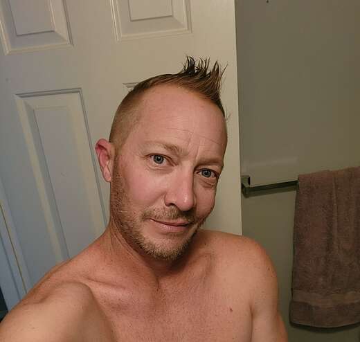 Need a Companion? - Alternate Photo