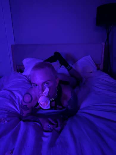 panther-shaped BFE - FTM Escort in San Jose - Main Photo