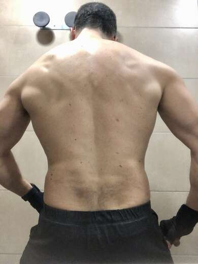 Spanish macho - Alternate Photo